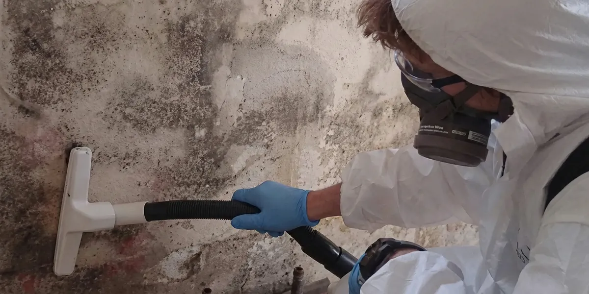 professional mold removal technician wearing protective equipment removing mold from a wall in Boulder, CO